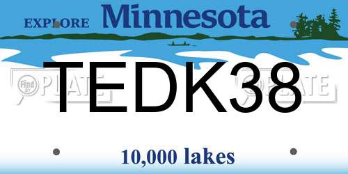 TEDK38 Minnesota License Plate