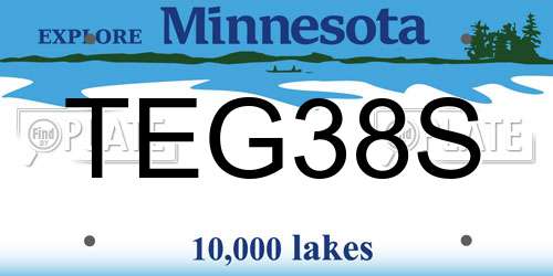 TEG38S Minnesota License Plate