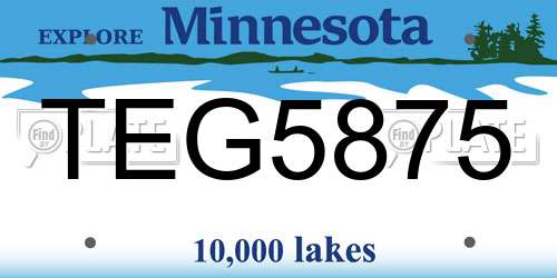 TEG5875 Minnesota License Plate