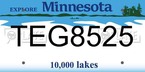 TEG8525 Minnesota License Plate