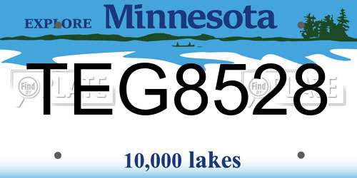TEG8528 Minnesota License Plate