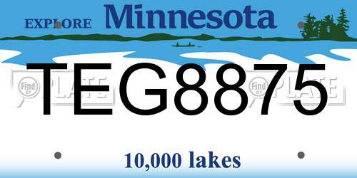 TEG8875 Minnesota License Plate