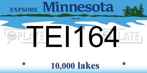 TEI164 Minnesota License Plate