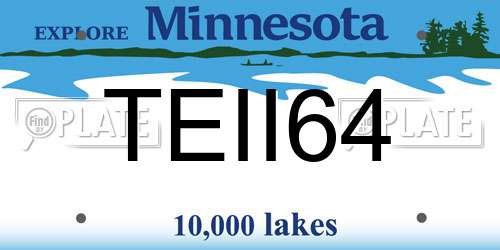 TEII64 Minnesota License Plate