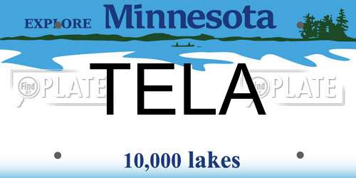 TELA Minnesota License Plate