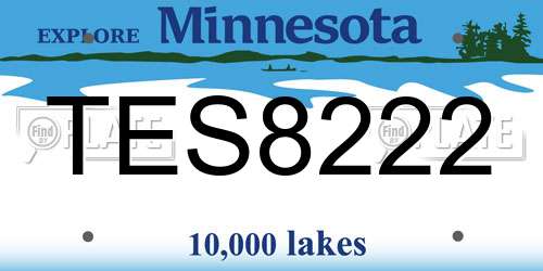 TES8222 Minnesota License Plate