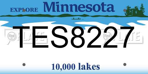 TES8227 Minnesota License Plate