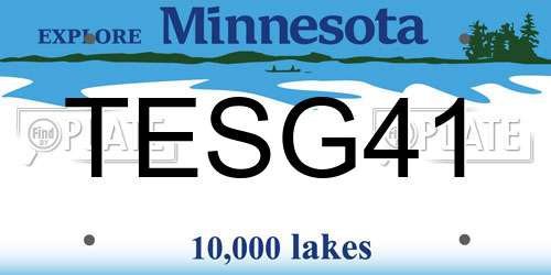 TESG41 Minnesota License Plate