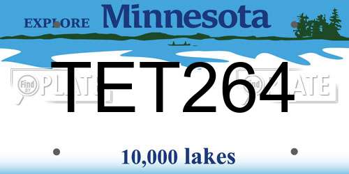 TET264 Minnesota License Plate