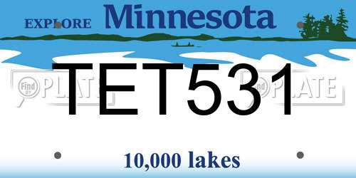 TET531 Minnesota License Plate