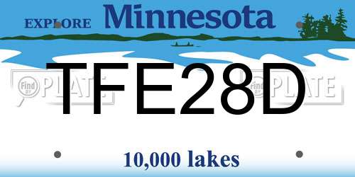 TFE28D Minnesota License Plate