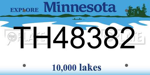 TH48382 Minnesota License Plate