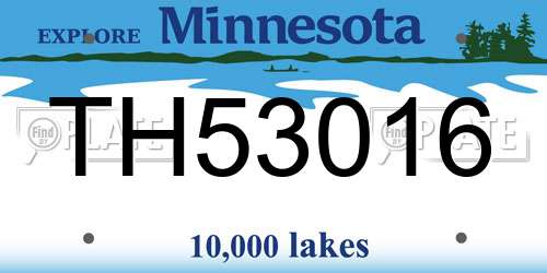 TH53016 Minnesota License Plate