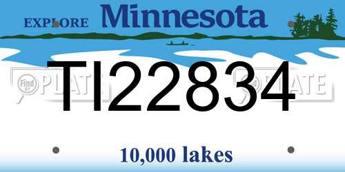 TI22834 Minnesota License Plate