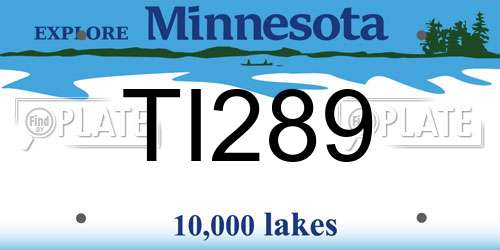TI289 Minnesota License Plate