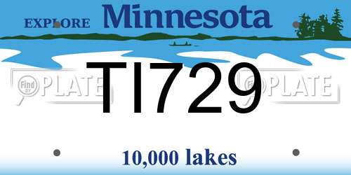 TI729 Minnesota License Plate
