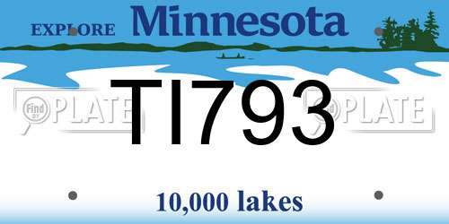 TI793 Minnesota License Plate