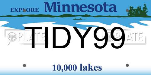 TIDY99 Minnesota License Plate