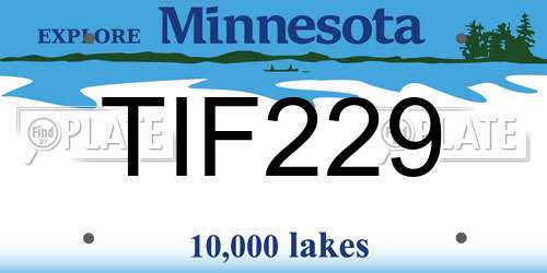 TIF229 Minnesota License Plate