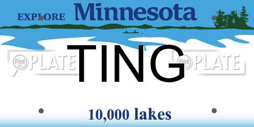 TING Minnesota License Plate