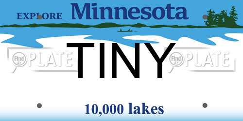 TINY Minnesota License Plate