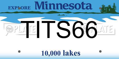 TITS66 Minnesota License Plate