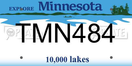 TMN484 Minnesota License Plate