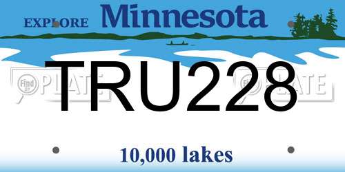 TRU228 Minnesota License Plate