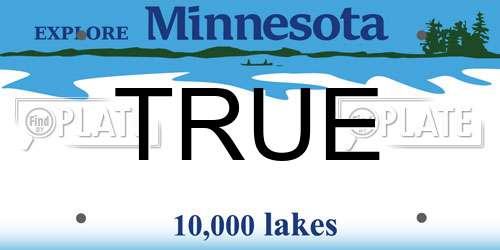 TRUE Minnesota License Plate