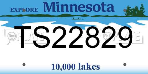 TS22829 Minnesota License Plate