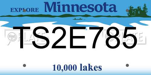 TS2E785 Minnesota License Plate