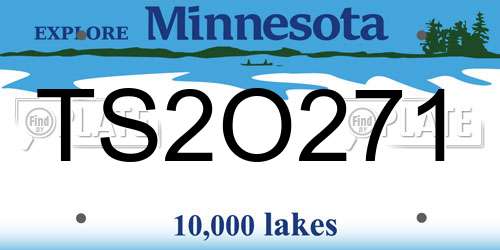 TS2O271 Minnesota License Plate