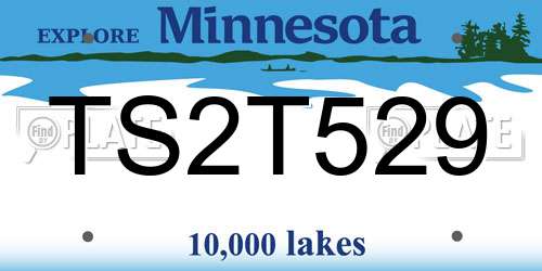 TS2T529 Minnesota License Plate