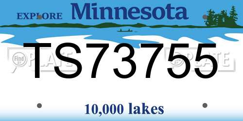 TS73755 Minnesota License Plate