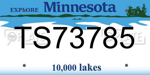 TS73785 Minnesota License Plate