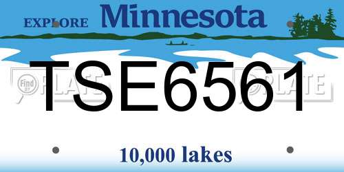 TSE6561 Minnesota License Plate