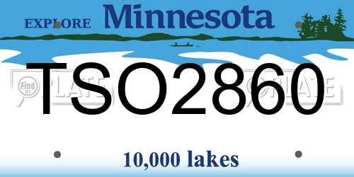 TSO2860 Minnesota License Plate