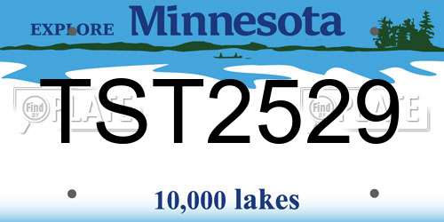 TST2529 Minnesota License Plate
