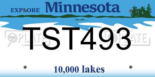 TST493 Minnesota License Plate