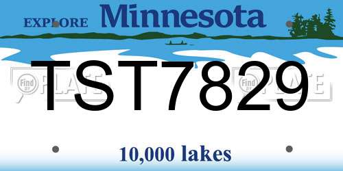 TST7829 Minnesota License Plate