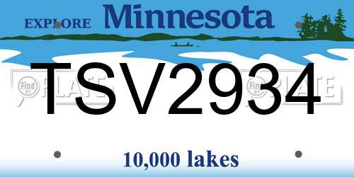 TSV2934 Minnesota License Plate
