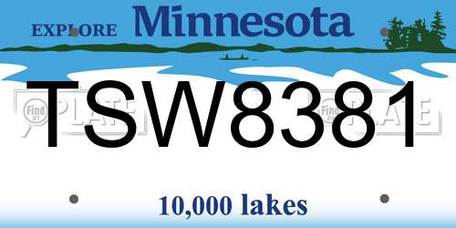 TSW8381 Minnesota License Plate