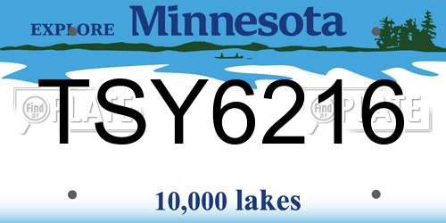 TSY6216 Minnesota License Plate