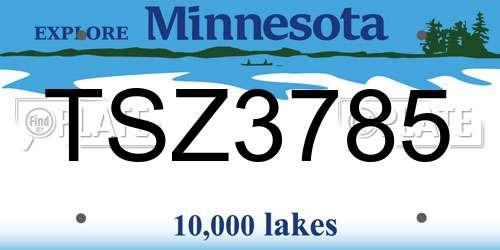TSZ3785 Minnesota License Plate