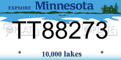 TT88273 Minnesota License Plate