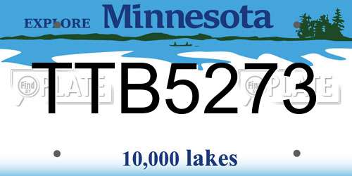 TTB5273 Minnesota License Plate