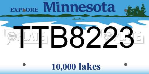 TTB8223 Minnesota License Plate