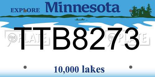 TTB8273 Minnesota License Plate