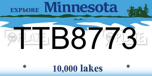 TTB8773 Minnesota License Plate