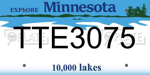 TTE3075 Minnesota License Plate